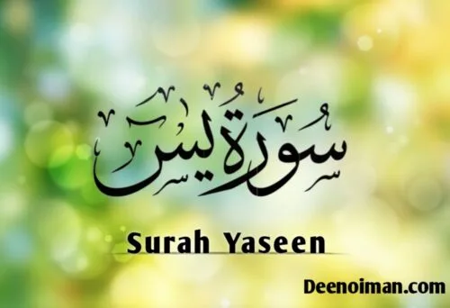 Surah yaseen in which para