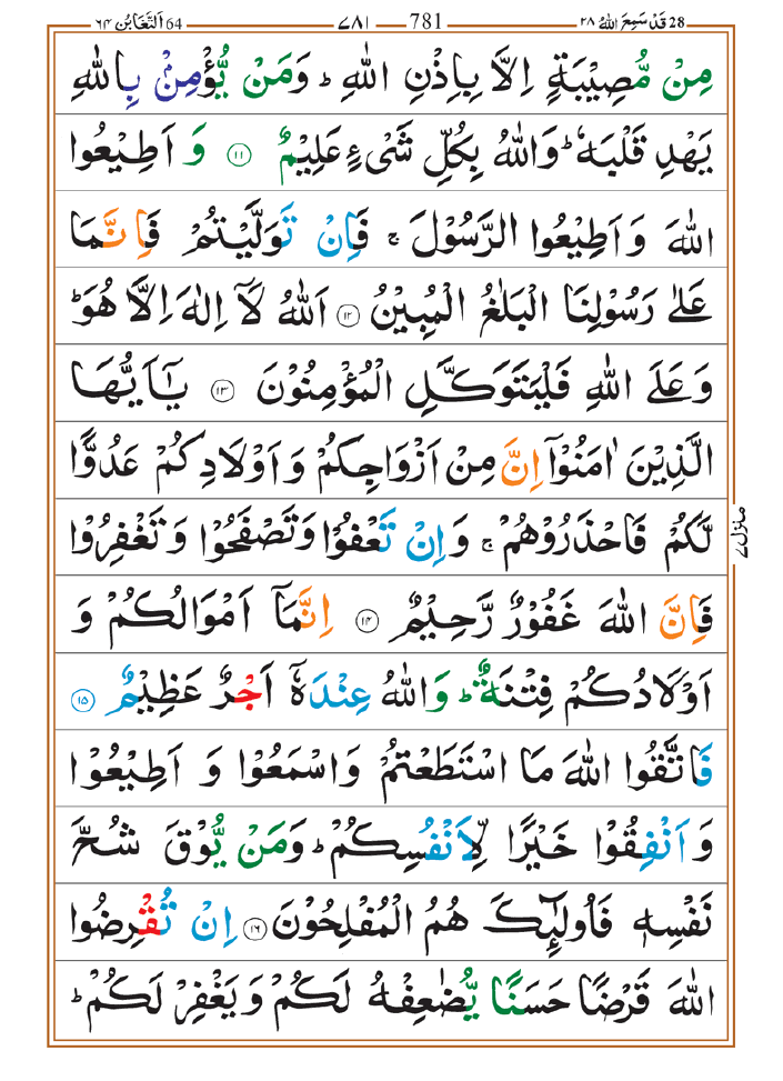 Surah Taghabun 03